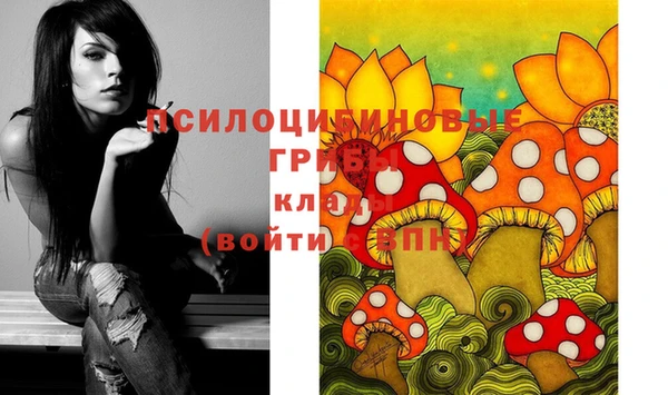 тгк Арсеньев