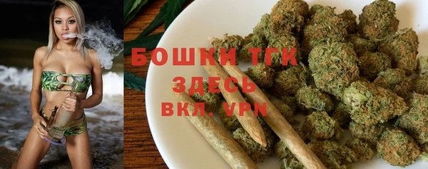 дмт Аркадак