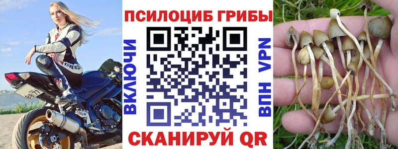 darknet как зайти  OMG зеркало  Злынка  Галлюциногенные грибы мухоморы 